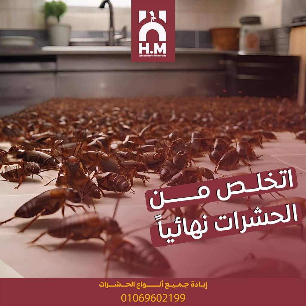 صورة H.M لمكافحة و إبادة الحشرات