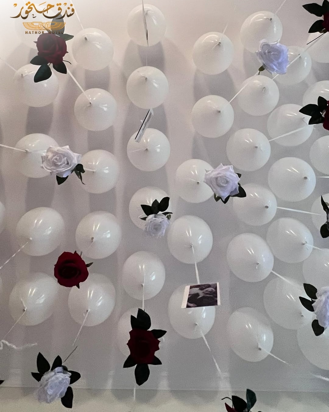 صورة فندق حتحور